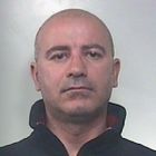 Giuseppe d'acquino
