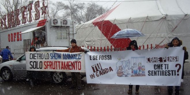 Gli animalisti con il loro striscione