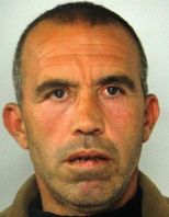 Sokol Deda
