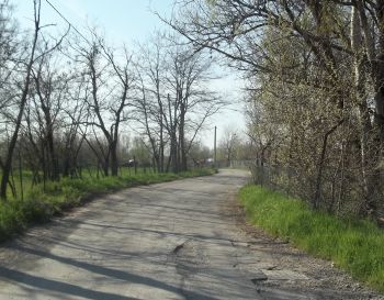 La strada in questione