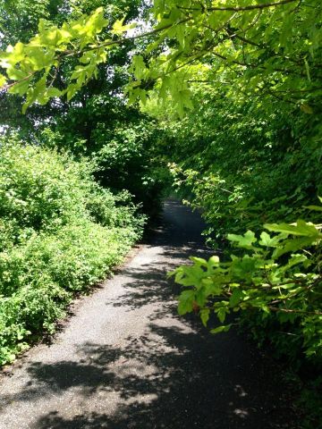 Una strada alla periferia della città