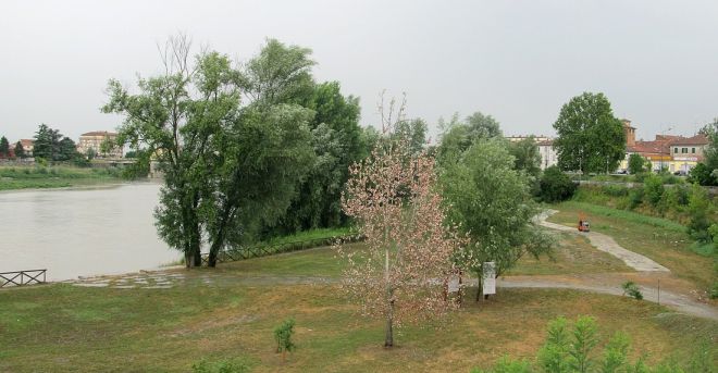 Uno scorcio del Parco del Po