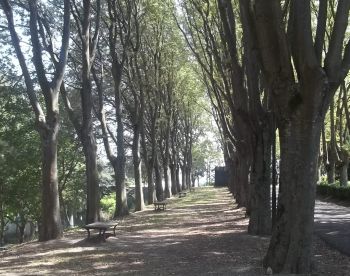 parco castello 1I