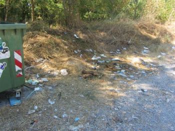 Rifiuti in ogni dove tranne che nel cassonetto....