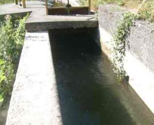 Roggia Tortonese - I