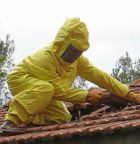 calabroni - vigili fuoco - M