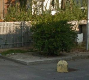 Il ridente melograno