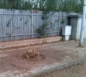 La situazione dopo il taglo