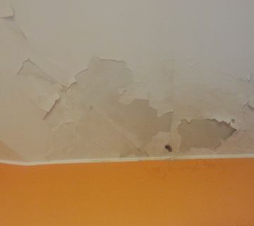 Il tetto dell'aula fiorito dalle infiltrazioni 