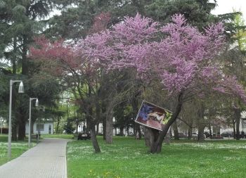 Giardini stazione - I