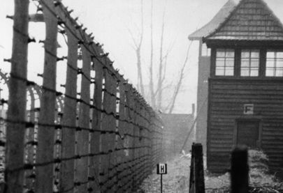 negazionismo auschiwtz- I