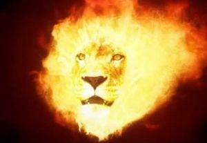 noi siamo il derthona - I