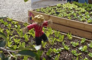 agricoltura da circo - I