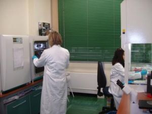 centro trasfuzionale  I