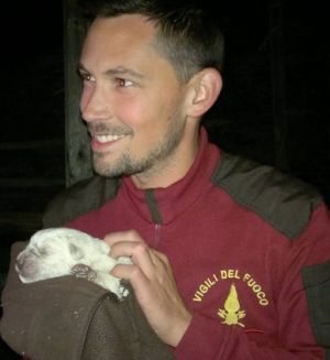 cucciolo vigili del fuoco