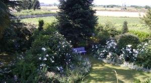 Uno scorcio di Ticineto