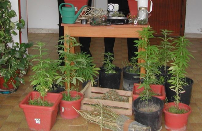 I materiale sequestrato