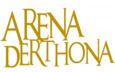 arena derthona - E