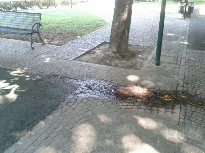 casale giardini vandali - L