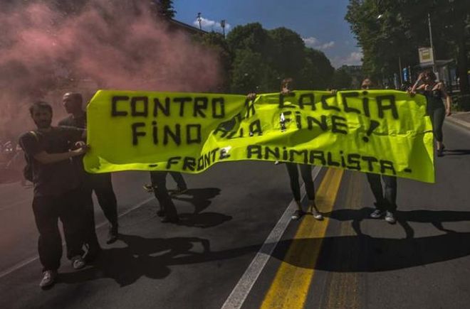 fronte animalista - L