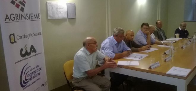 Un momento della conferenza stampa 