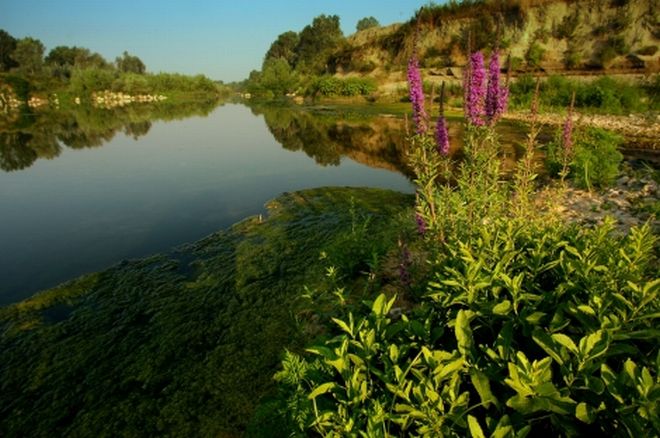 scrivia castelnuovo - L