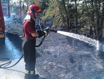 vigili fuoco sterpaglie - Q
