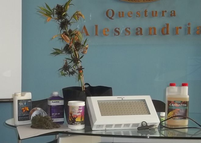 Una piantina e parte del materiale sequestrato