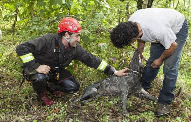 Il cane è salvo fa le feste al suo padrone