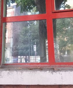 Davanzale rovinato e vetri sporchi al museo Orsi