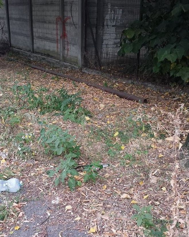 Tubi arrugginiti e rifiuti in via Dellepiane