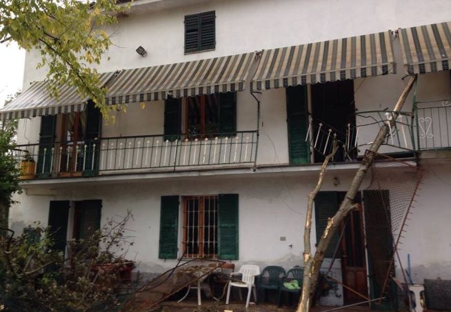 ALBERO CONTRO CASA - L