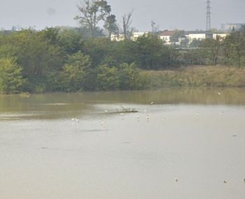 La cava Montemerla allagata dalla recente alluvione