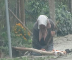 La Pina della frazione Baiarda di Barbagna (foto archivio SG)