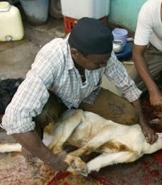 macellazione halal - 2I