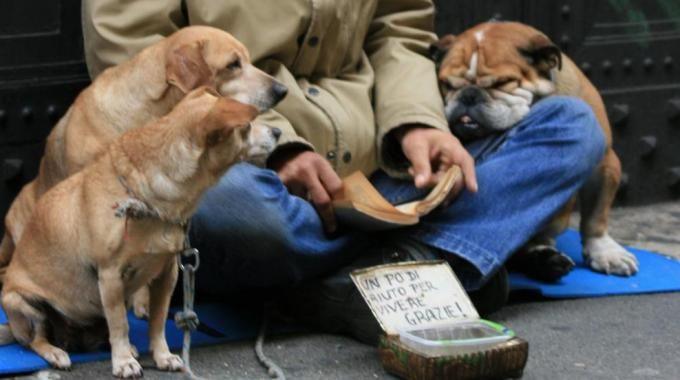 mendicante con cane - L