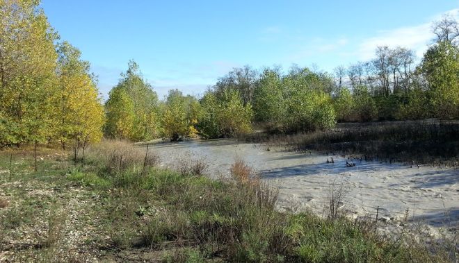Il torrente Curone a Pontecurone
