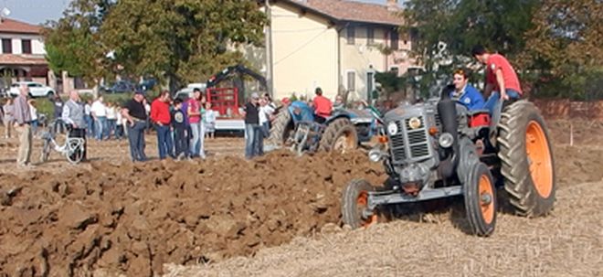 sale agricoltura 2L