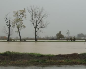 alluvione 2I