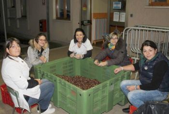 Si preparano le castagne 