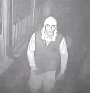 Le immagini del ladro ripreso dalla telecamere dell'Unità Gamma