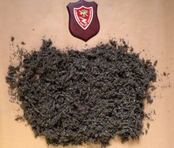 La droga sequestrata