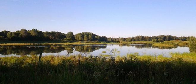 L'oasi naturalistica di Isola Sant'Antonio