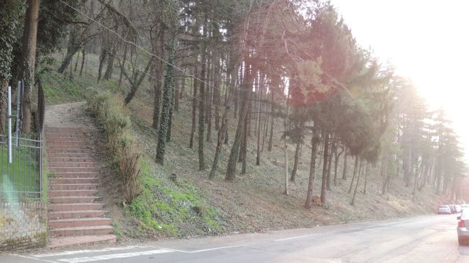 Viale Milite Ignoto pulito