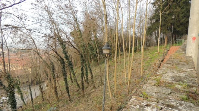 castello Lucciola -3L