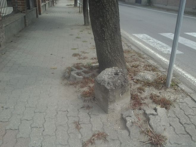 castelnuovo danni 2L