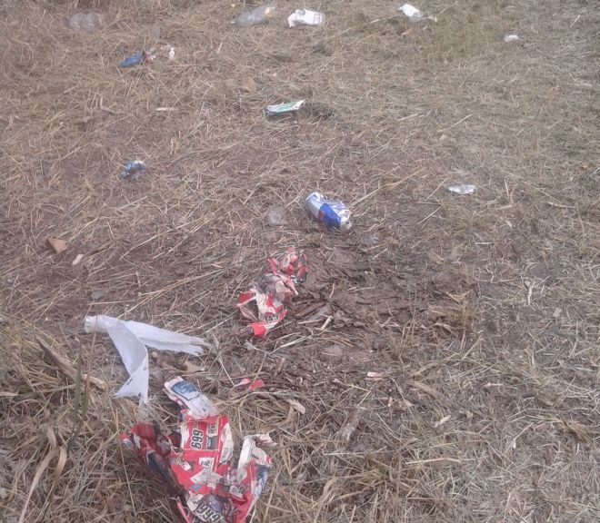 castelnuovo danni 7L