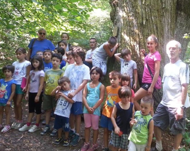 centro estivo casalnoceto L