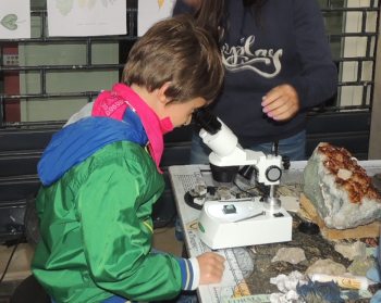 bancarelle scientifiche I