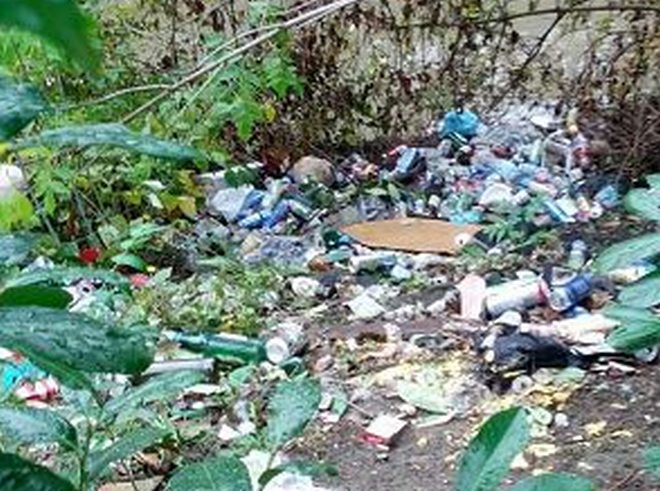 discarica abusiva - L